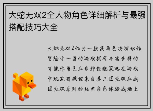 大蛇无双2全人物角色详细解析与最强搭配技巧大全